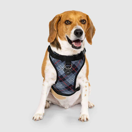 The Everything Dog Harness – No-Pull Dog Harness