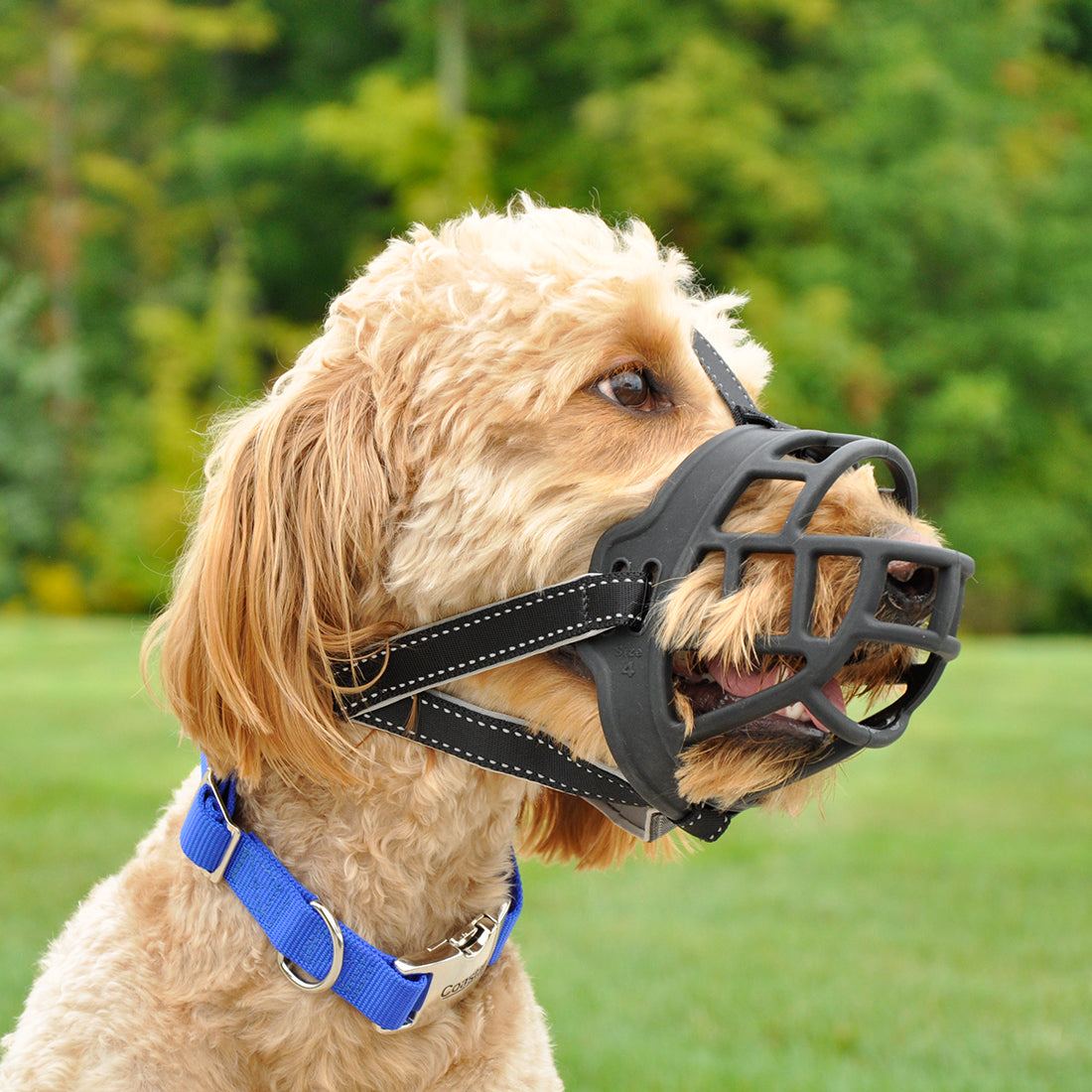 Coastal Best Fit Adjustable Mesh Dog Muzzle