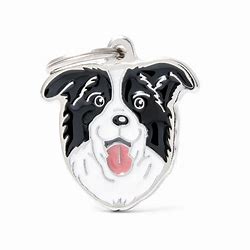 MY FAMILY PET TAG  BORDER COLLIE