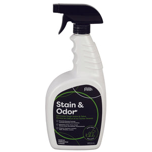 EF STAIN AND ODOR OUT 950ML
