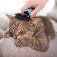 Load image into Gallery viewer, CONAIRPRO SOFT SLICKER BRUSH CAT
