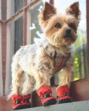 Load image into Gallery viewer, PRETTY PAW BOOTS CRIMSON ROUGE
