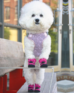 PRETTY PAW BOOTS MAGENTA ROSE