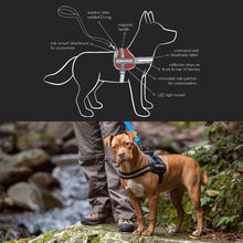 Load image into Gallery viewer, EZYDOG CONVERT HARNESS CHARCOAL
