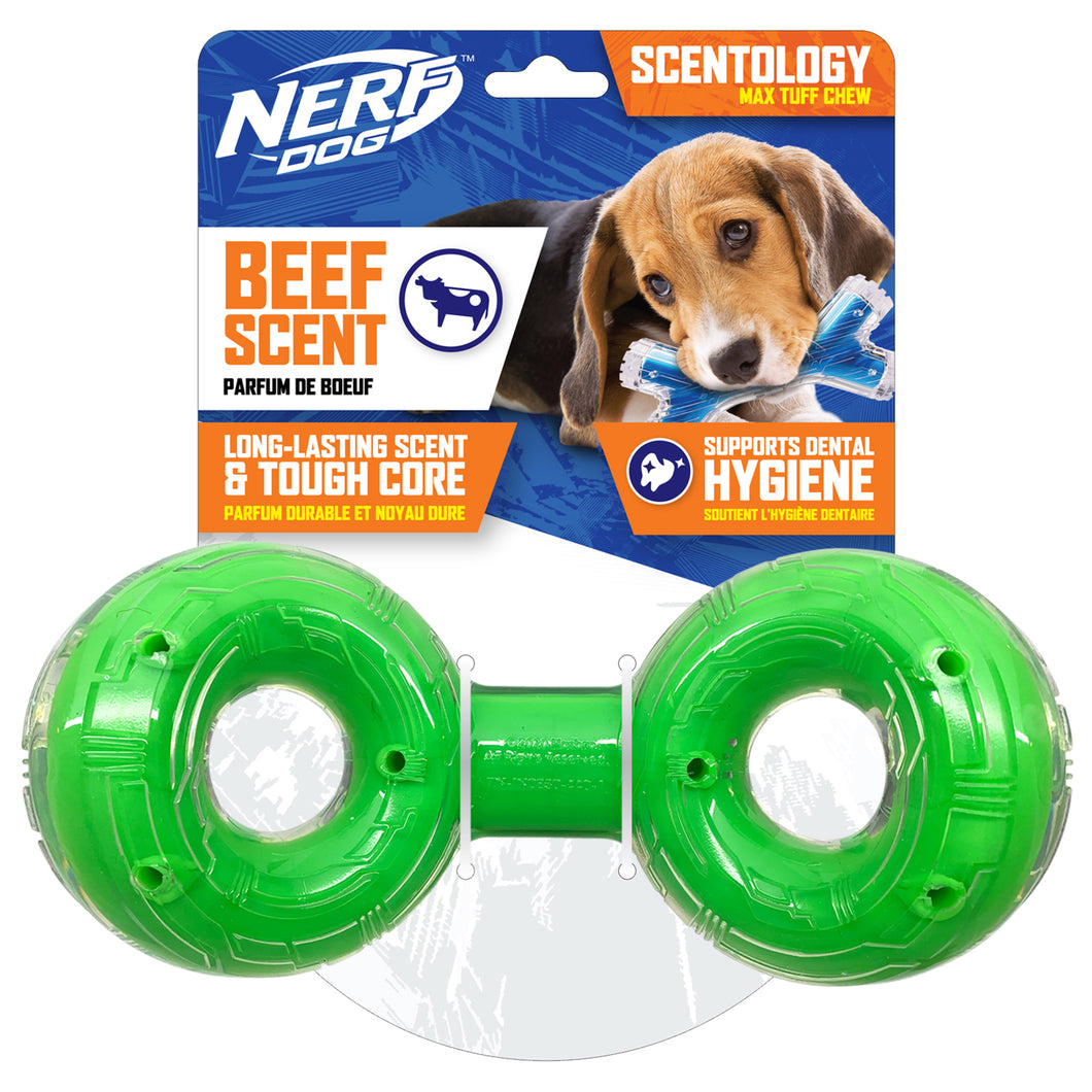 NERF DOG SCENTOLOGY INFINITE RING GREEN BEEF 21CM (8.3IN)