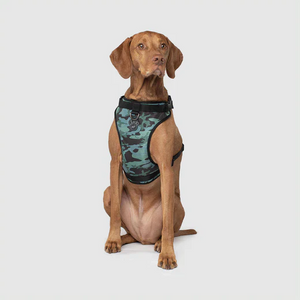 CANADA POOCH EVERYTHING HARNESS (NO PULL!)