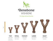 Load image into Gallery viewer, BENEBONE BACON WISH GIANT
