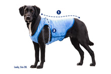 Load image into Gallery viewer, GF PET ICE VEST BLUE
