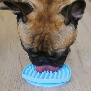 BRISTLY TONGUE CLEANER