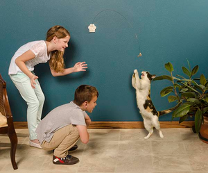CAT DANCER INTERACTIVE CAT TOY WITH WALL ATTACHMENT
