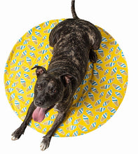 Load image into Gallery viewer, GF PET ICE MAT ROUND YELLOW
