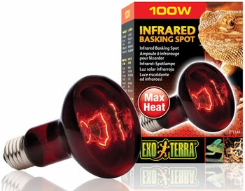 EX HEAT GLO INFRARED LAMP 100W