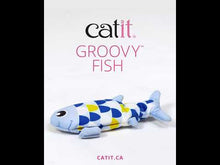 Load and play video in Gallery viewer, CATIT CAT TOY GROOVY FISH BLUE
