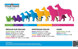 YOUR PAWS ONLY SUMMER 2021 COLLARS/LEASHES