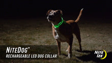 Load image into Gallery viewer, NITE IZE RECHARGABLE COLLAR GR 20&quot;-24&quot;
