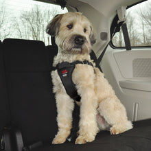 Load image into Gallery viewer, COASTAL PET EASY RIDER X-SMALL CAR HARNESS
