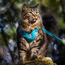 Load image into Gallery viewer, RC ADVENTURE KITTY HARNESS
