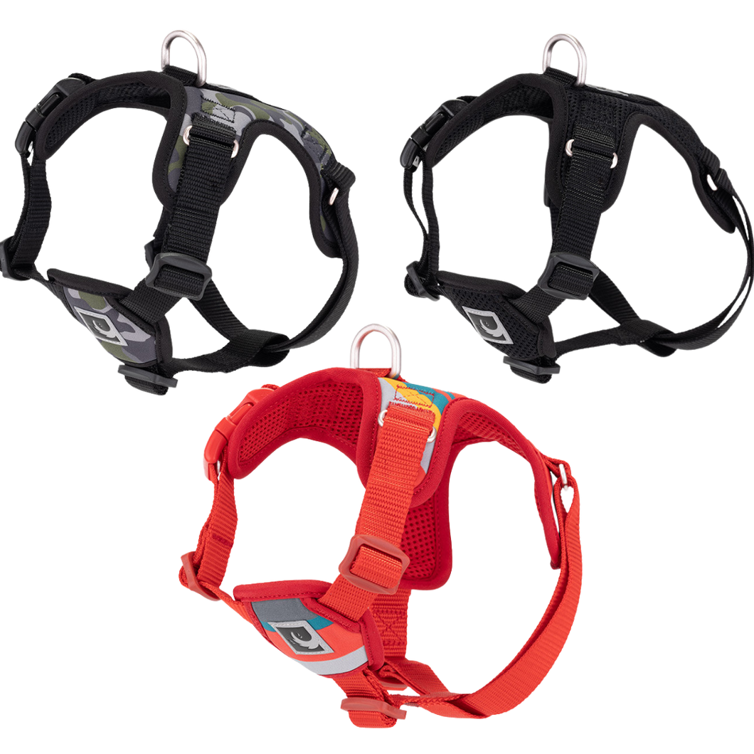 RC PETS FORTE STEP IN HARNESS