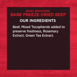 WEL CORE BOWL BOOSTERS 4OZ BEEF